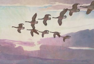 Canada Geese in Spring, 1941